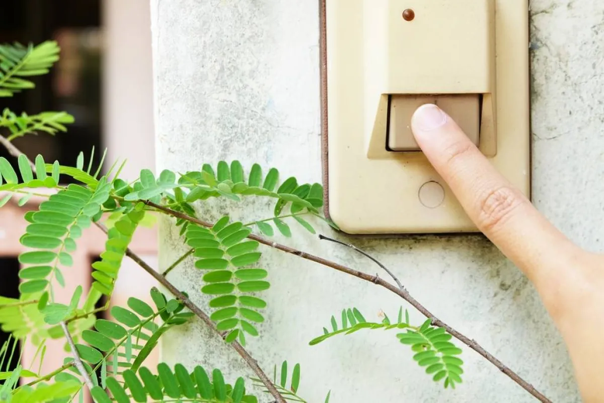 على المدعوّ التأكّد من العنوان الخاصّ بالمناسبة