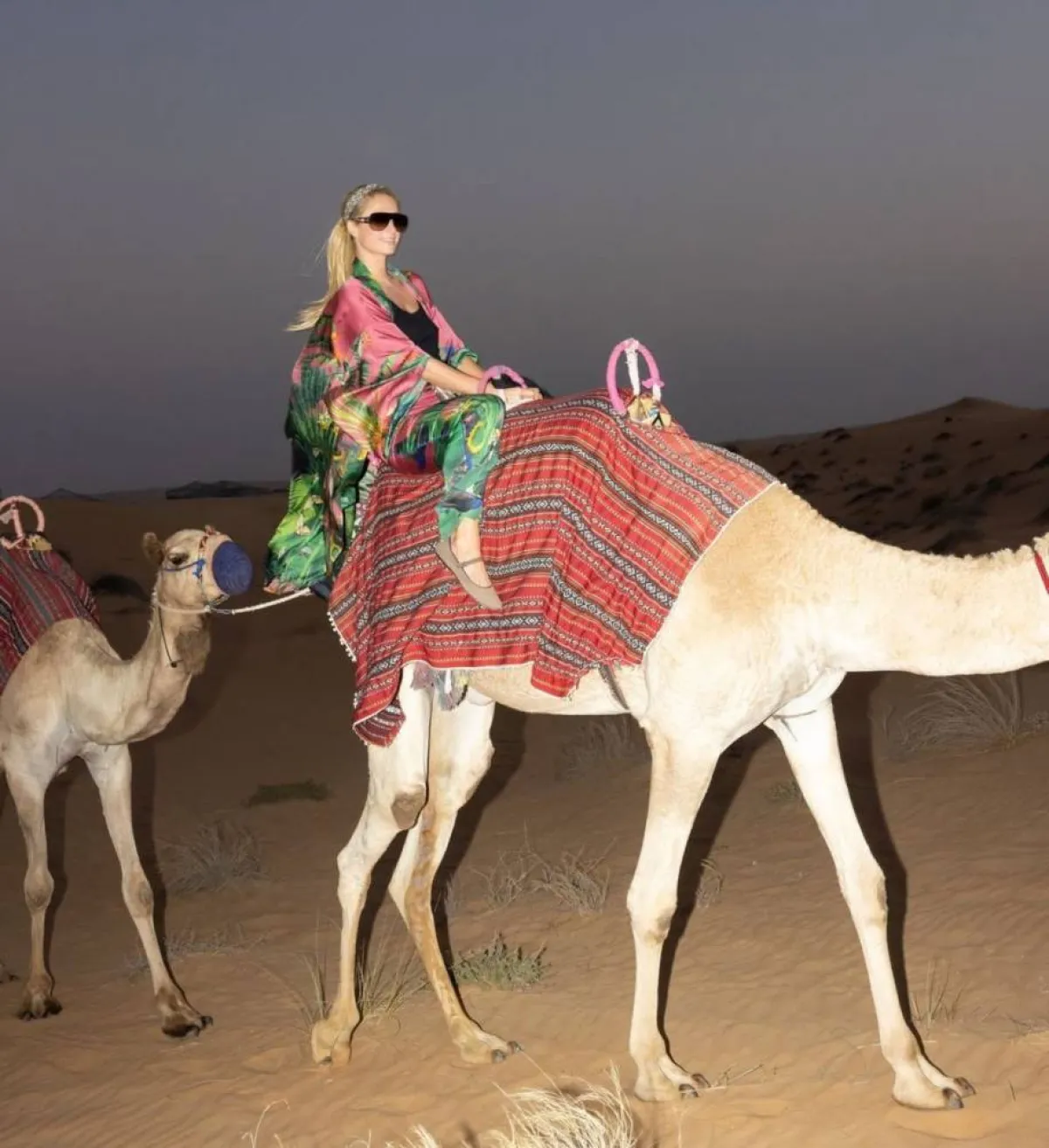 باريس هيلتون على الجمل - الصورة من حسابها في إنستغرام