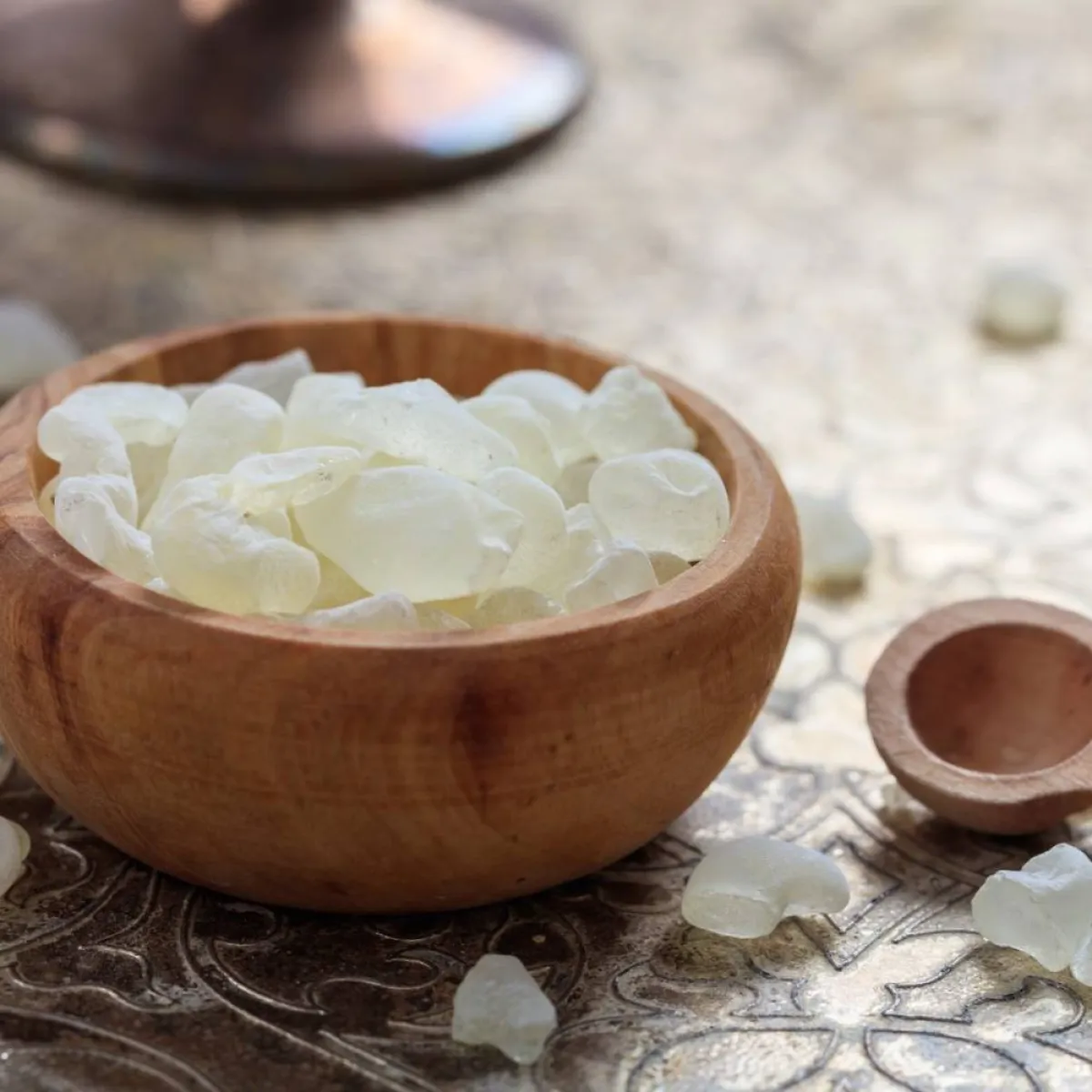 صورة لحبات المستكة