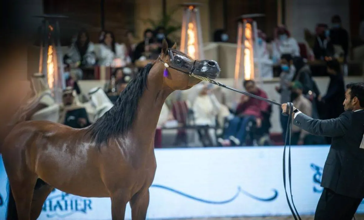 ونوه الأمير بالموروث الوطني للخيل ودورها في توحيد السعودية