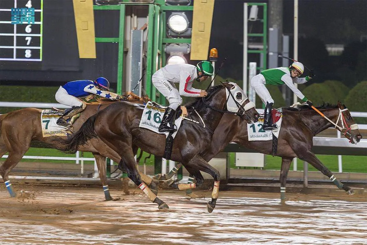مهرجان كؤوس الملوك - الصورة من واس