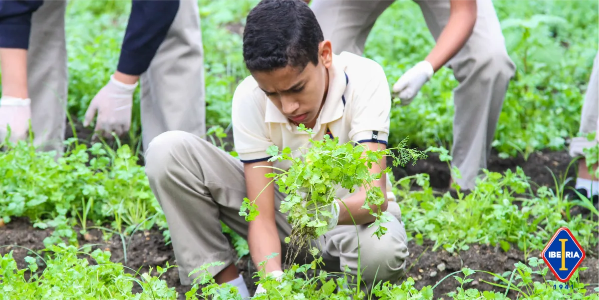 تأسست الجائزة عام 2008. الصورة من "وام"