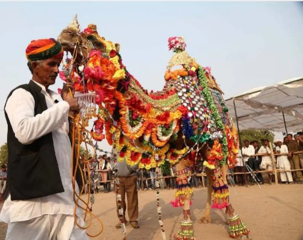 مهرجان ناجور للحصاد