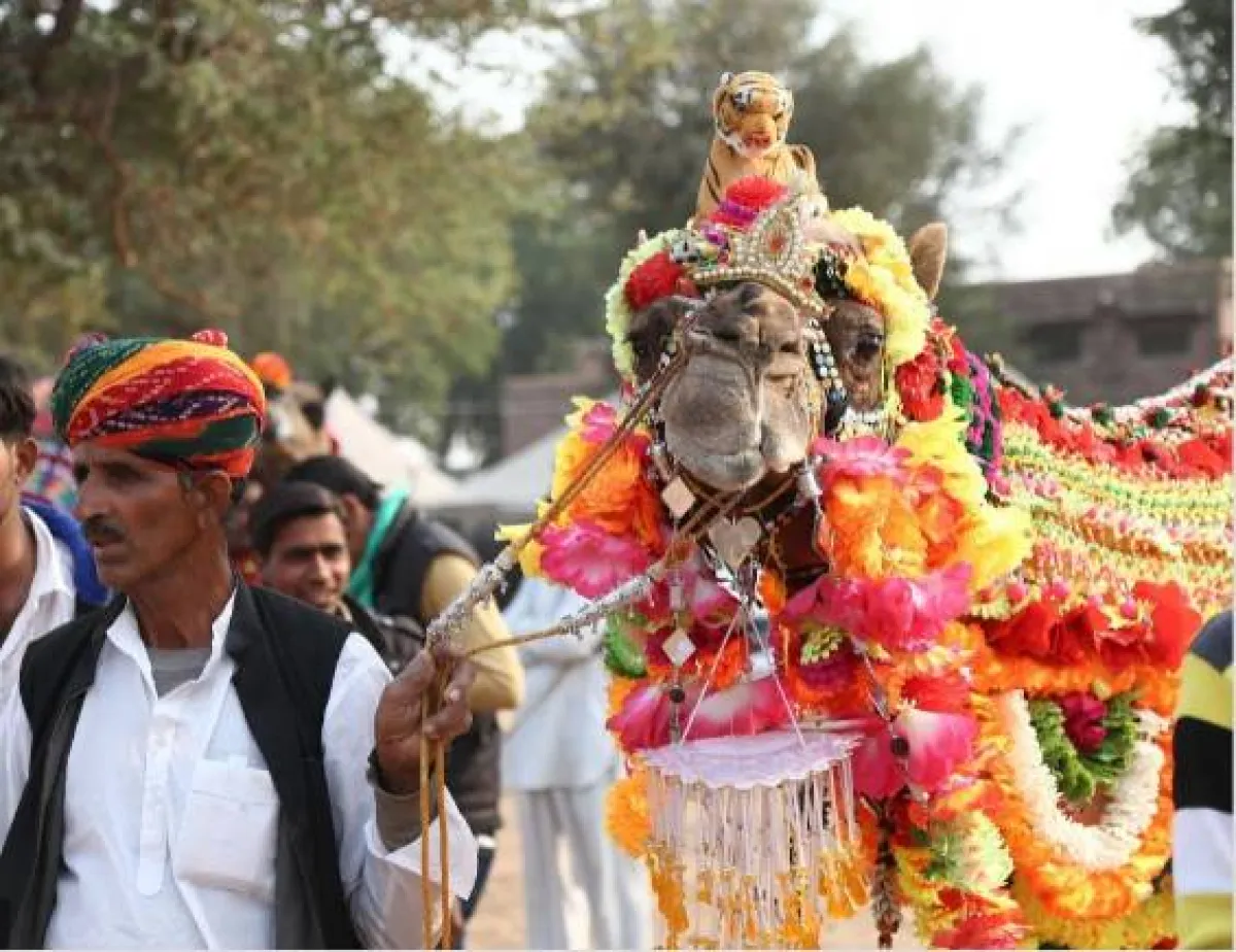 مهرجان ناجور للحصاد