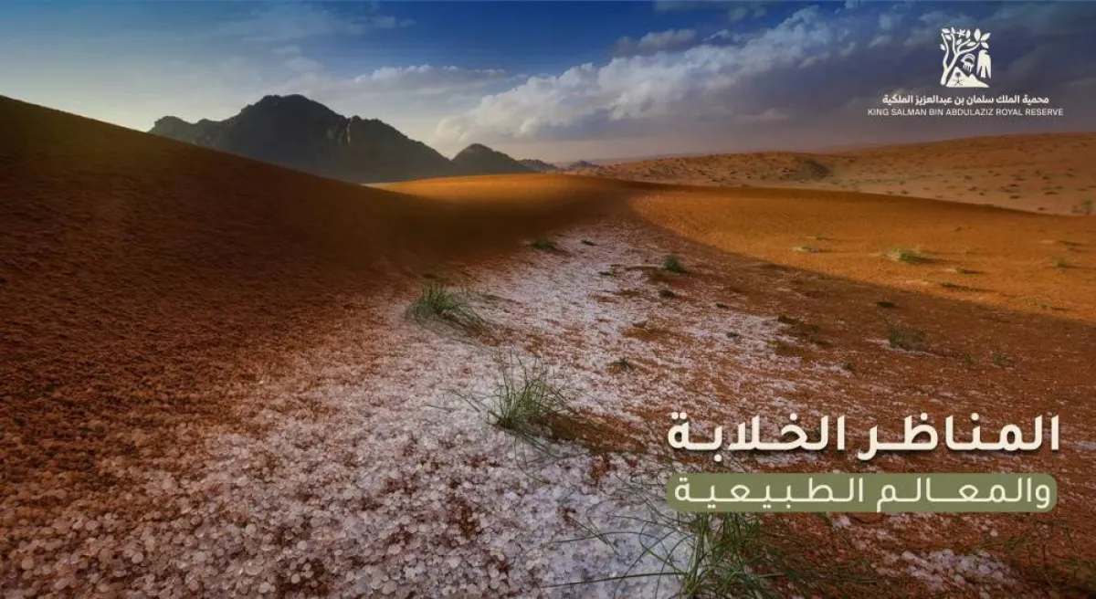 محمية الملك سلمان بن عبد العزيز الملكية