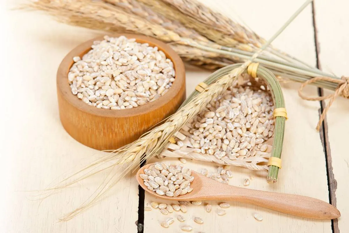 فوائد الشعير للنساء لا بديل عنها