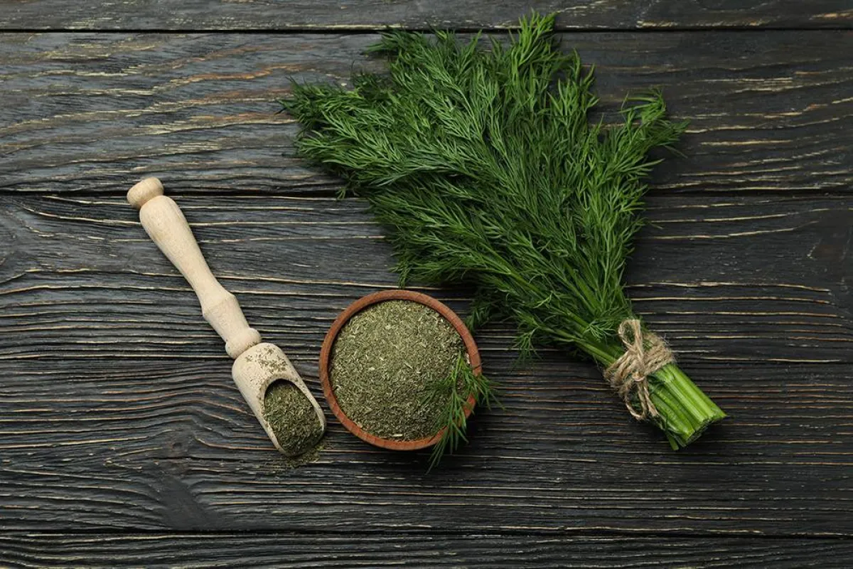 فوائد الشبت للنساء ممتازة