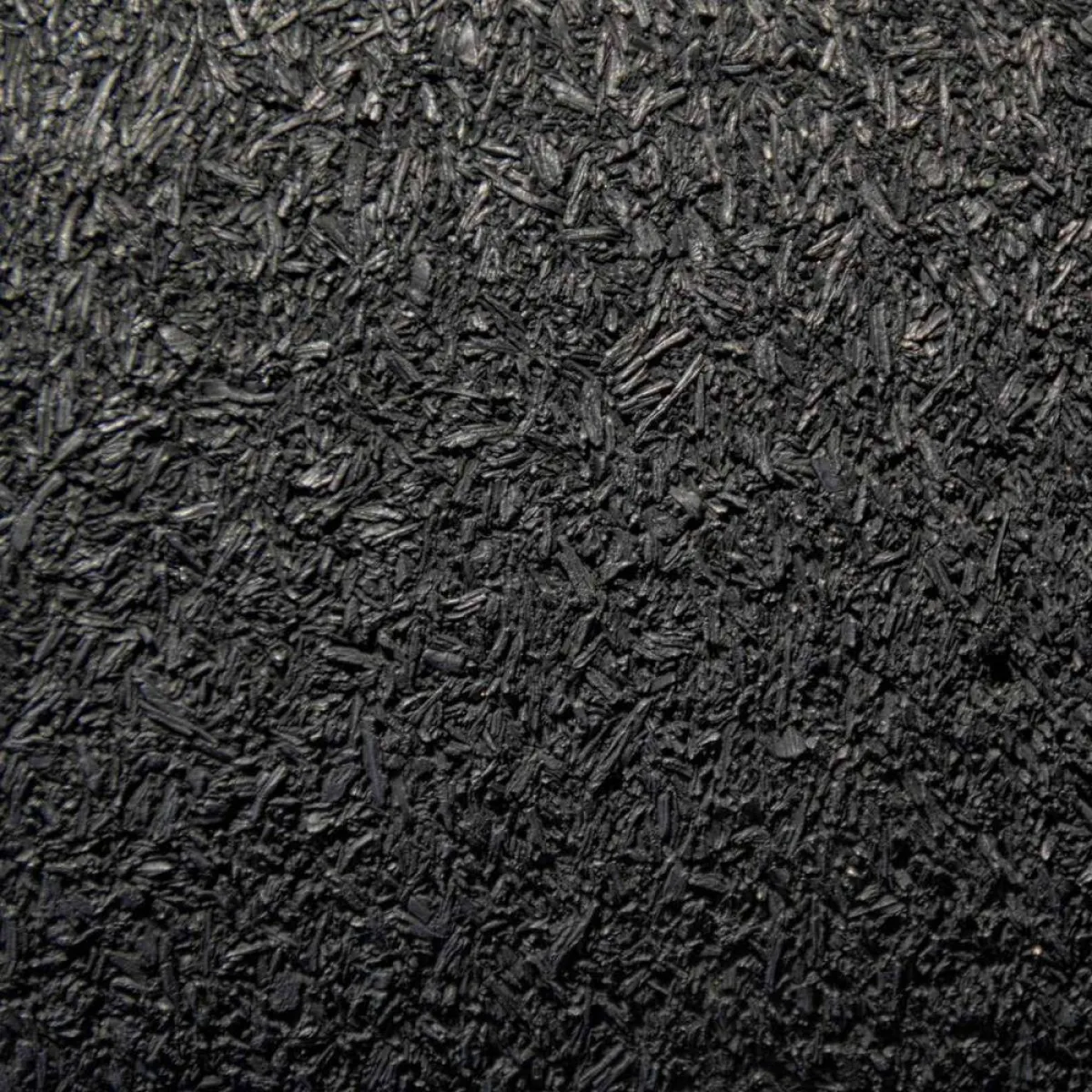 صورة لحبة البركة