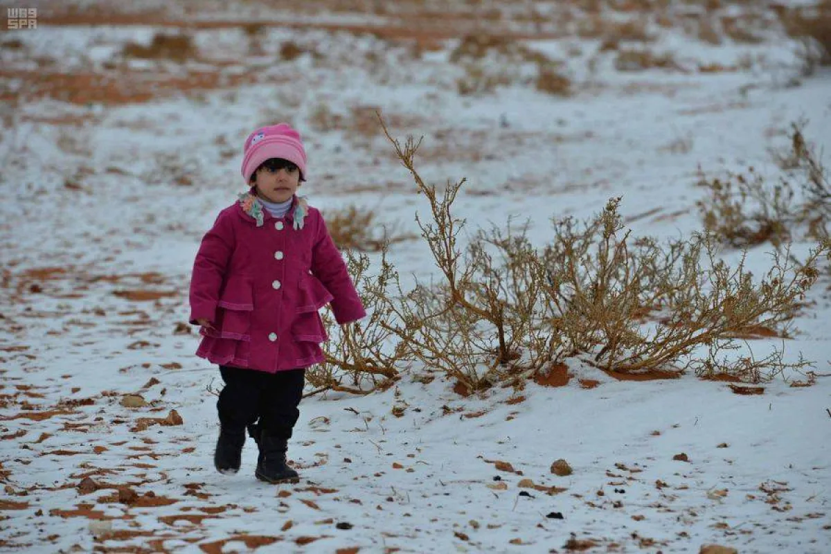 تأجيل بداية اليوم الدراسي إلى 9 صباحا في مدارس تبوك والحدود الشمالية. الصورة من "واس"
