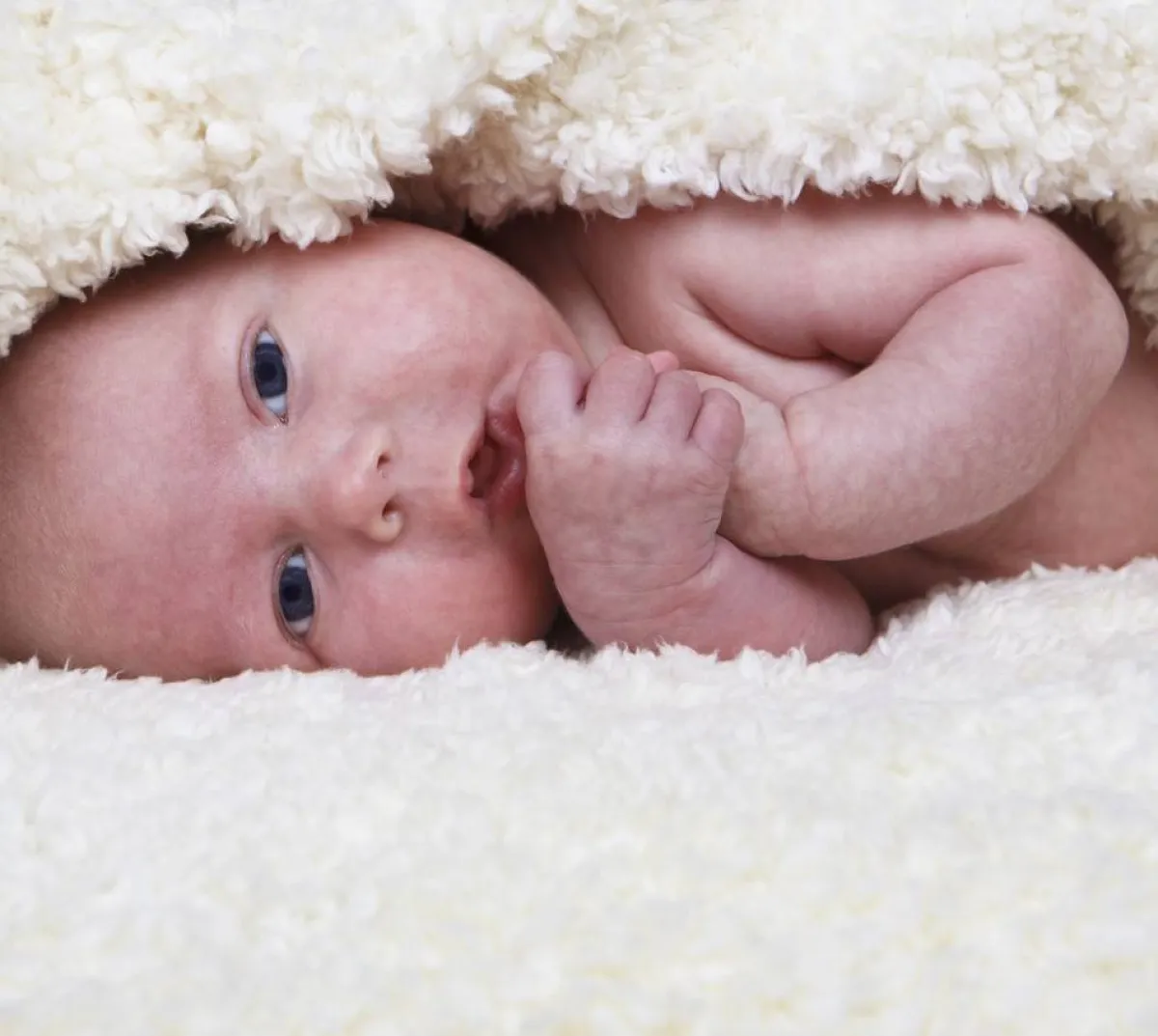 صورة لمولود