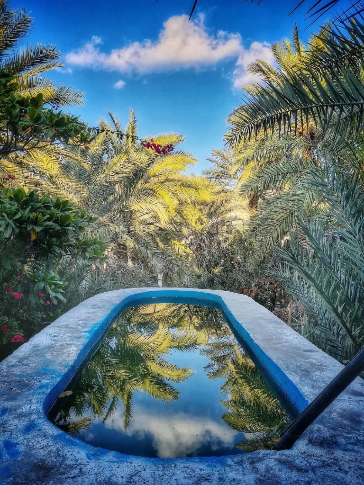 جائزة حمدان بن محمد بن راشد آل مكتوم الدولية للتصوير الضوئي . الصورة من "وام"