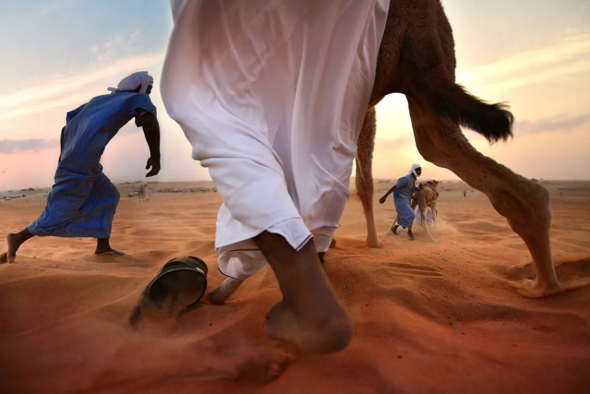 استقبال آخر المشاركات تمهيدا لإعلان الفائزين. الصورة من "وام"