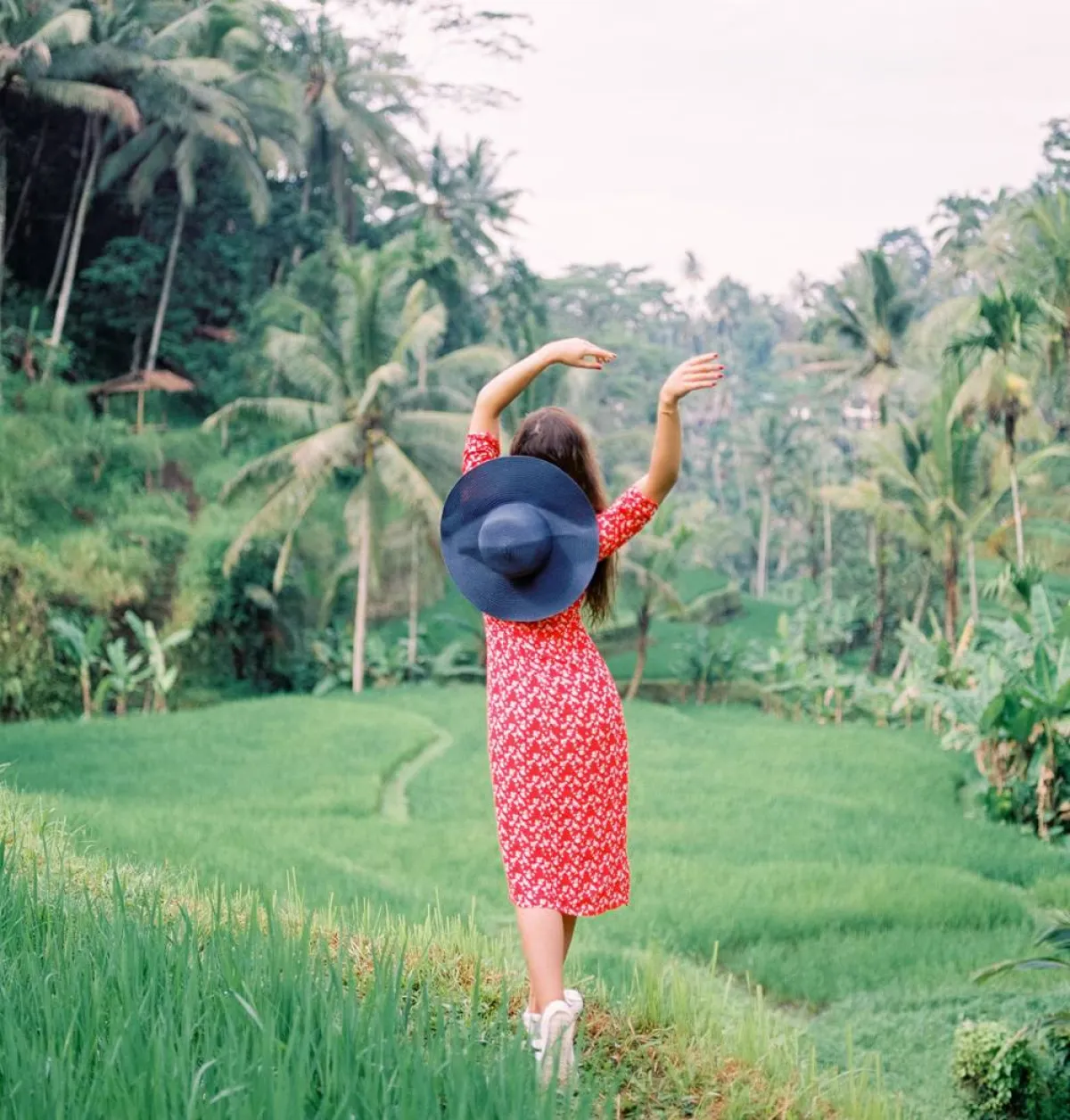 الاستجمام في الغابة