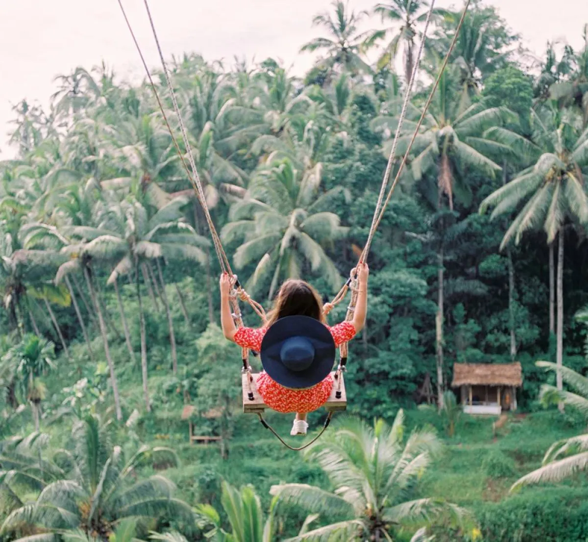 الاستجمام في الغابة