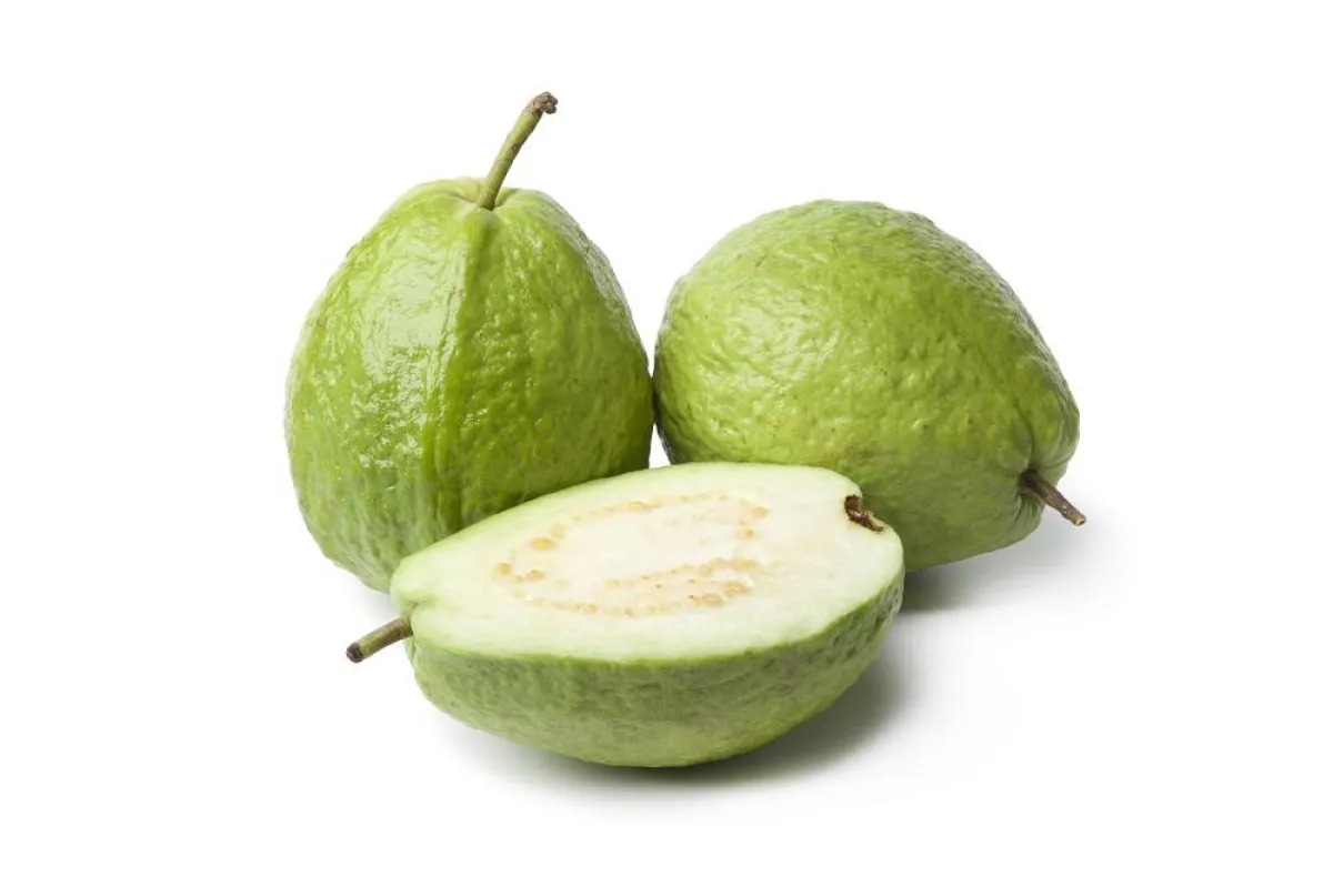 الجوافة لعلاج الشعر