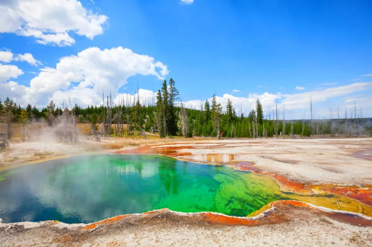 يلوستون