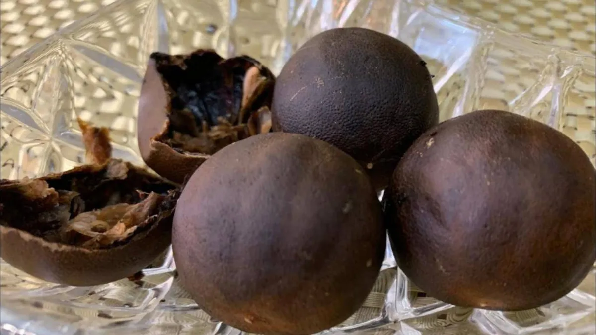 فوائد الليمون الأسود للنساء، ستُدهشك بأهميتها الصحية