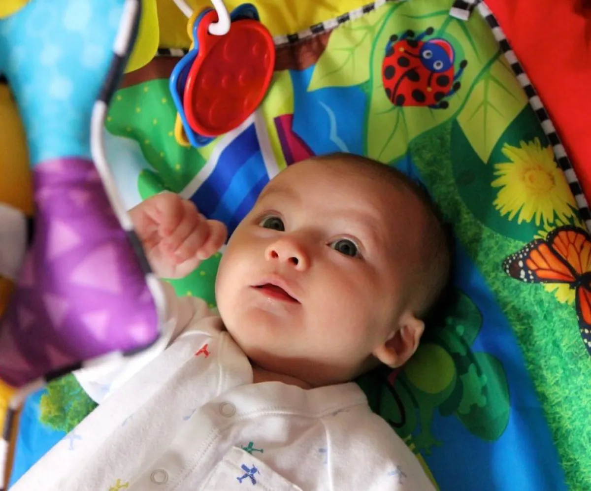 صورة لطفل منبهر بالألوان