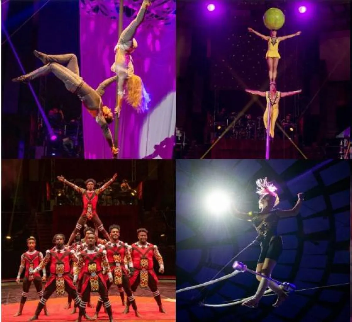 مهرجان بودابست للسيرك الدولى فى المجر