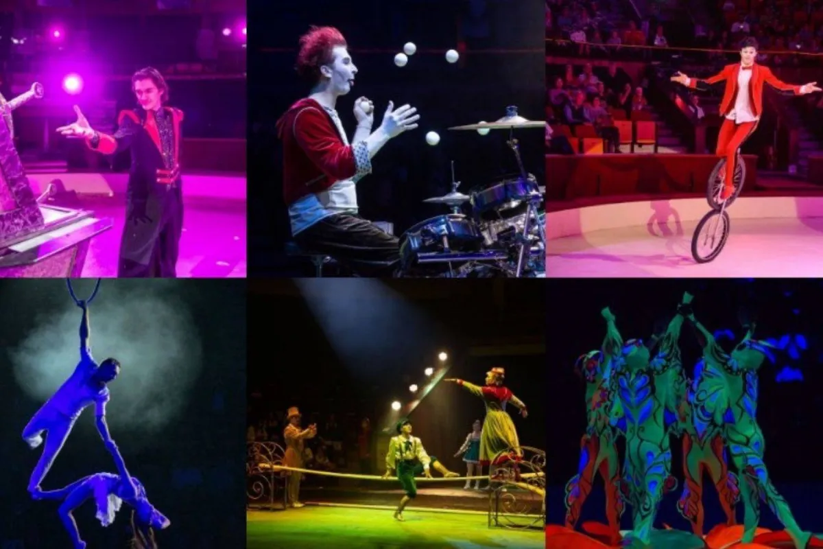 مهرجان بودابست للسيرك الدولى فى المجر