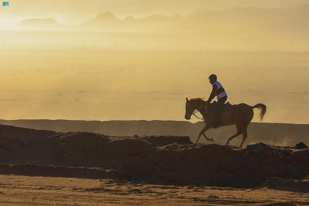 بطولة ريتشارد بولو وكأس خادم الحرمين الشريفين في العلا - الصورة من واس