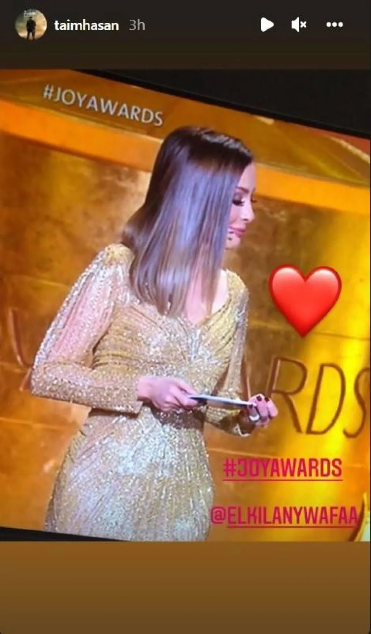 الصورة التي نشرها تيم حسن لزوجته وفاء الكيلاني - الصورة من ستوري حسابه على انستغرام