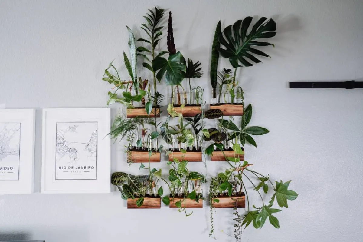 أخطاء من الواجب تجنبها في تصميم المنزل