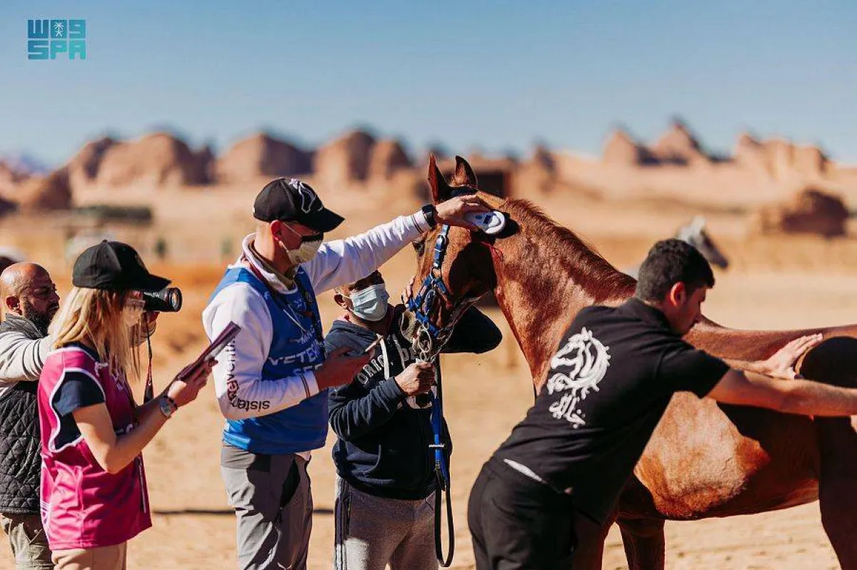 بطولة كأس خادم الحرمين - الصورة من واس