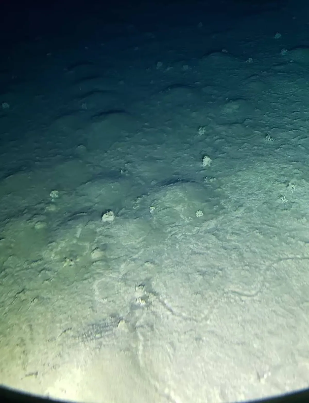 أول فريق علمي ينخفض 26465 قدماً تحت مستوى سطح البحر