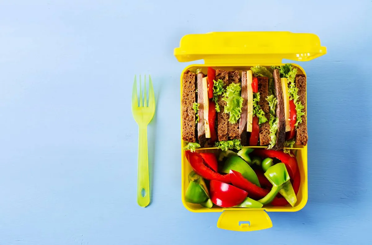 صورة لحافظة الطعام