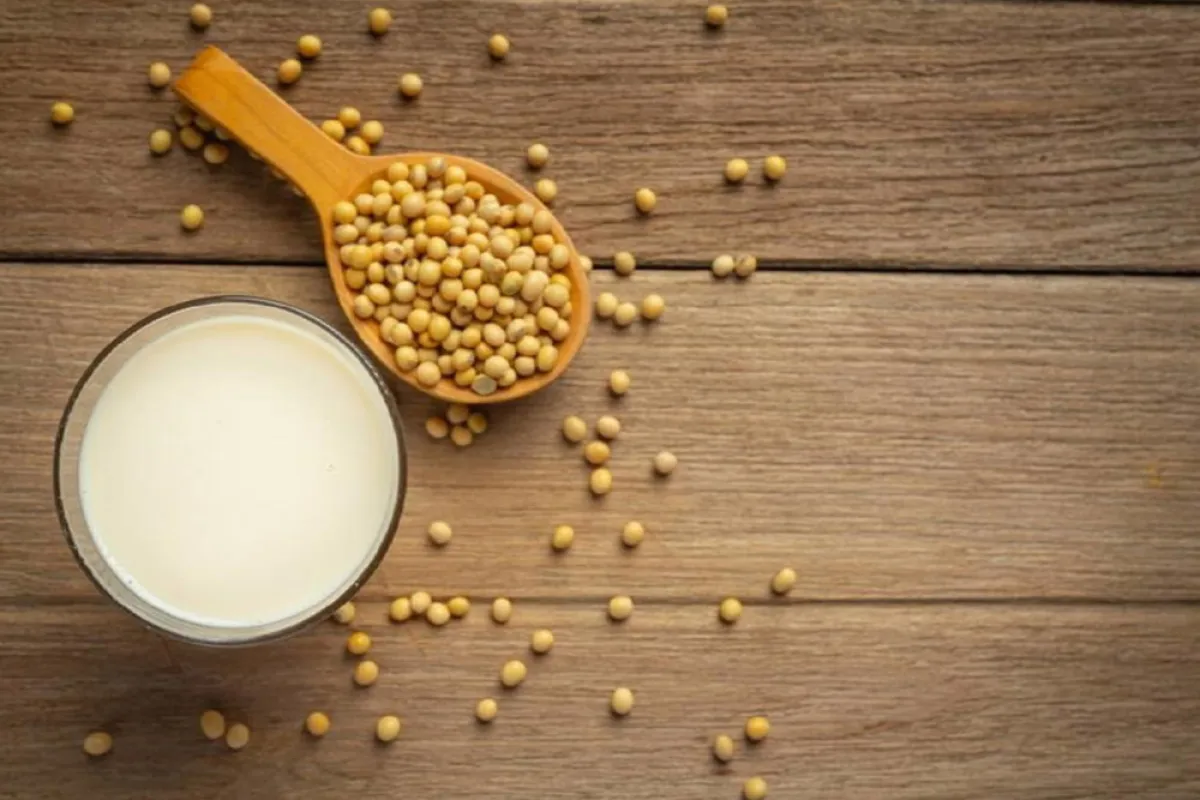 حليب الصويا