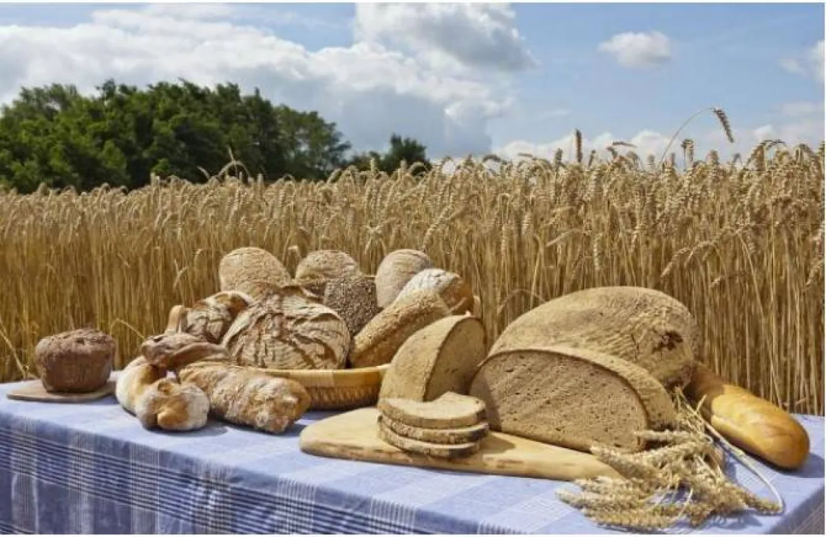 ثقافة الخبز  في العالم