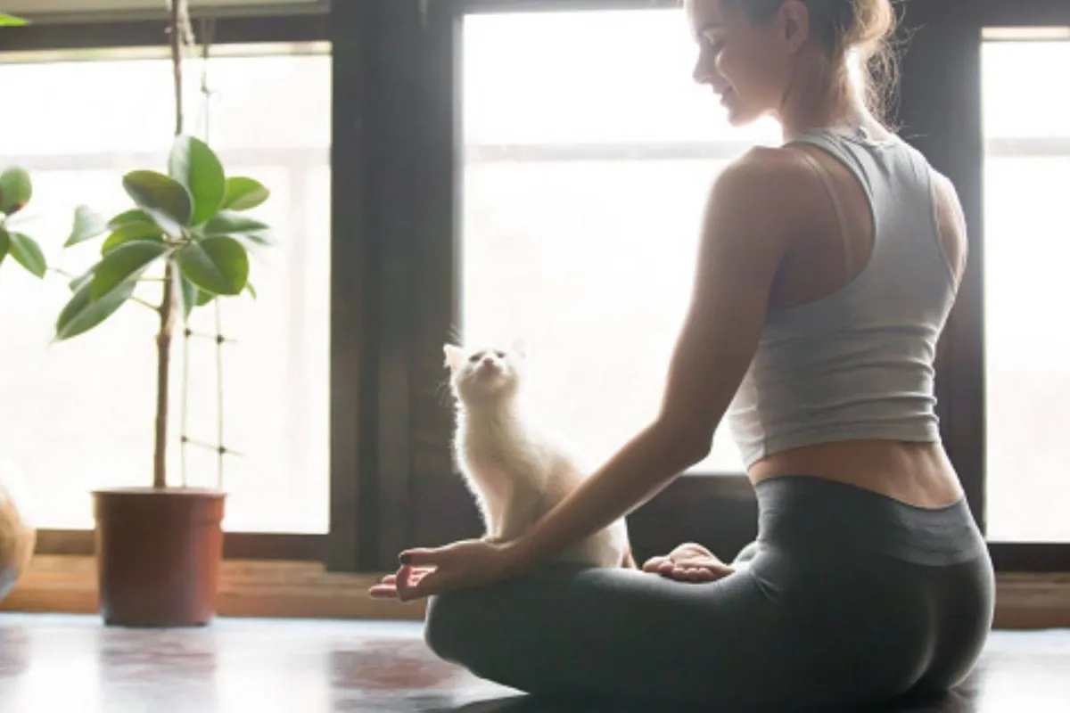 زيادة الذكاء