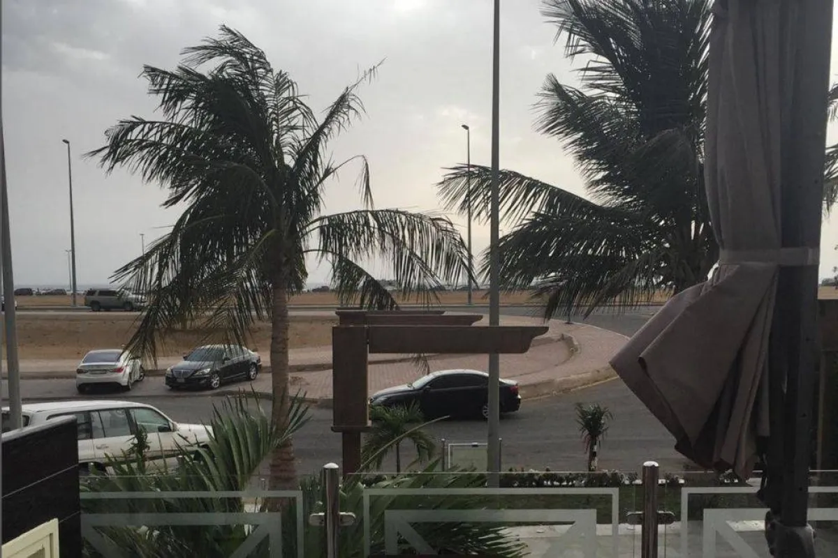 صورة تظهر هيف وكيف كافيه - مصدر الصورة من حساب هيف وكافيه على الإنستقرام الرسمي