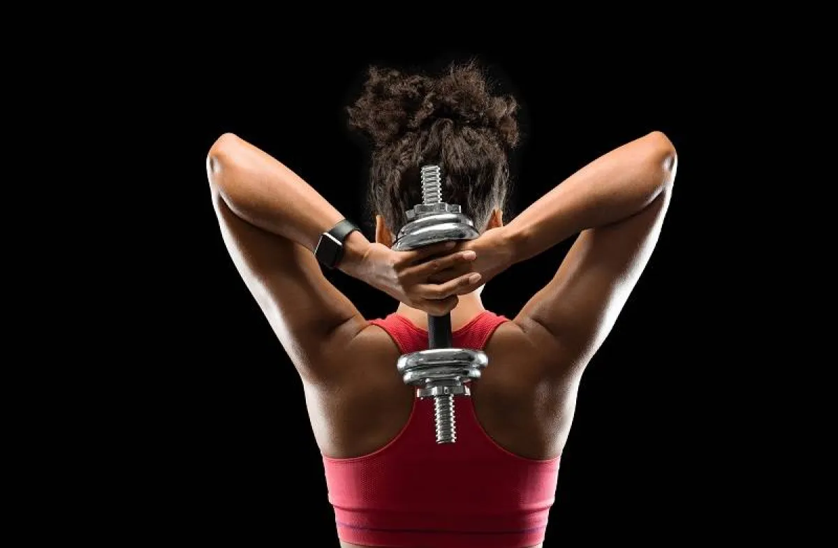 العضلة ثلاثية الرؤوس