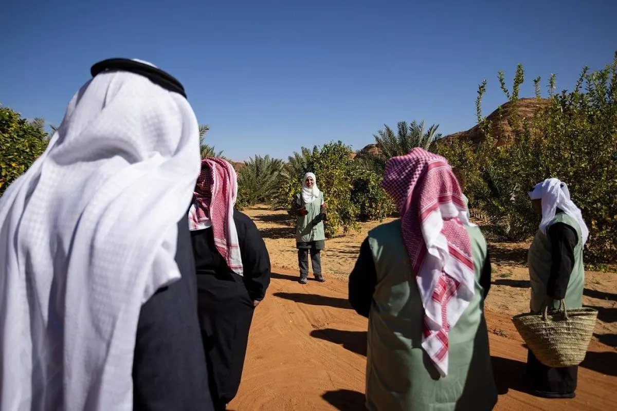 مدينة العلا