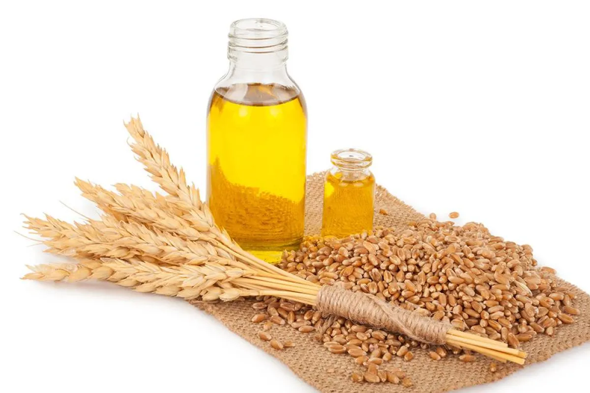 فوائد زيت جنين القمح للجسم لا بديل عنها