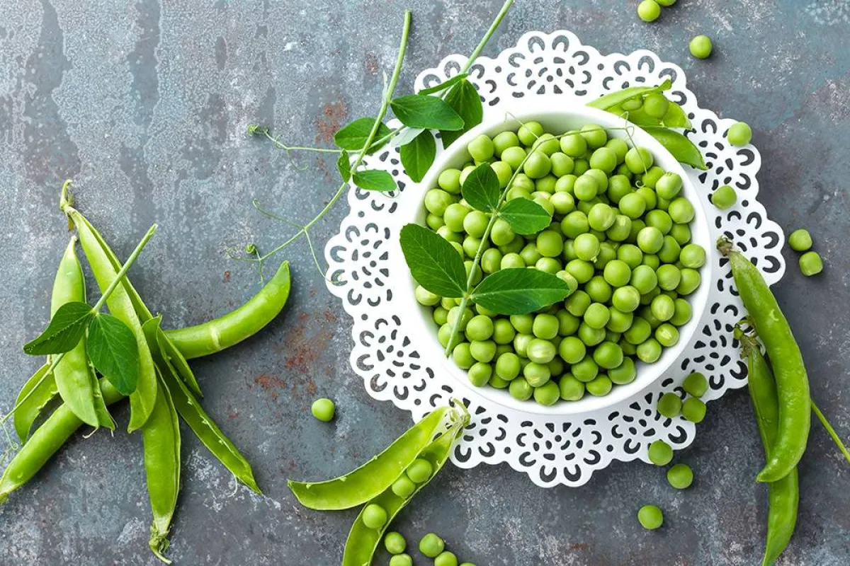 فوائد البازلاء الخضراء لا مثيل لها