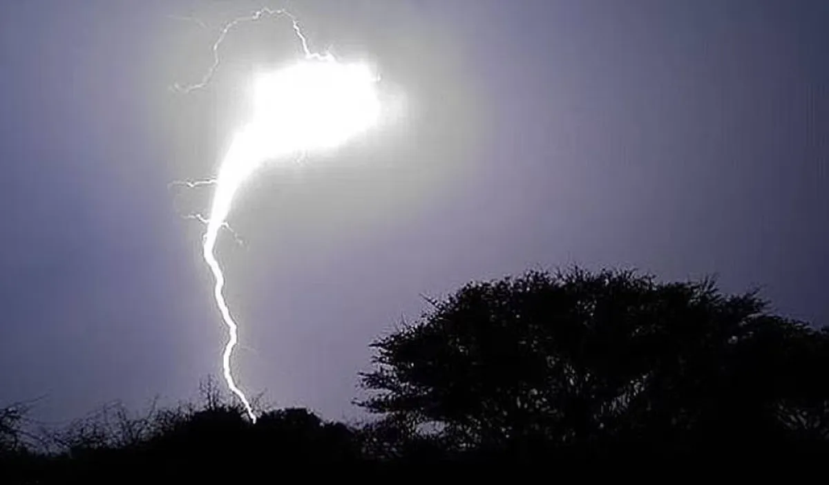  صاعقة برق تستمر لمدة 8.5 ثوان، وتمتد لأكثر من 477 ميلاً؛ لتحقق الأطول على المستوى العالمي 