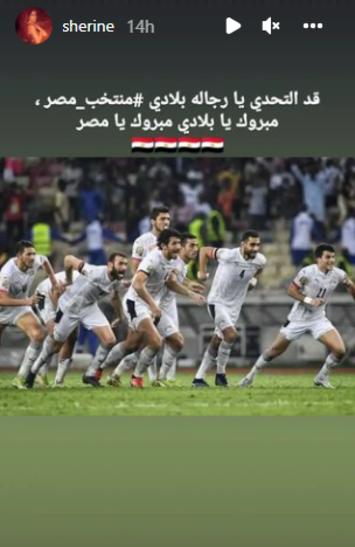 شيرين تحتفل بصعود المنتخب المصري للنهائي الأفريقي - الصورة من حسابها على ستوري انستغرام