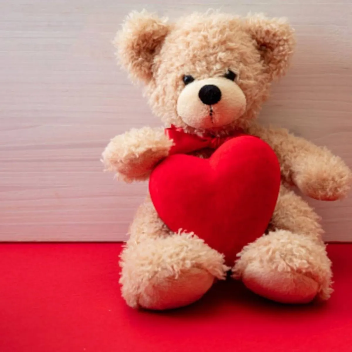 الدبدوب في يوم الحب