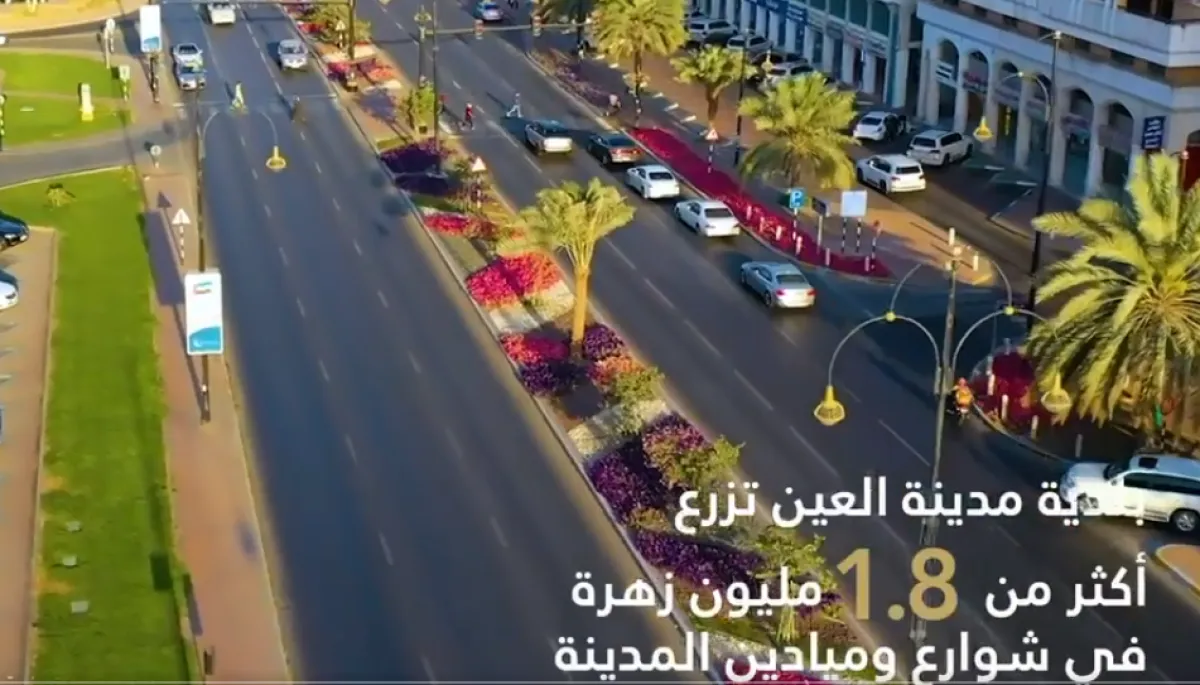 بلدية مدينة العين تزرع أكثر من 1.8 مليون زهرة على جنبات الشوارع وفي الحدائق العامة. الصورة من مكتب أبوظبي الإعلامي على تويتر