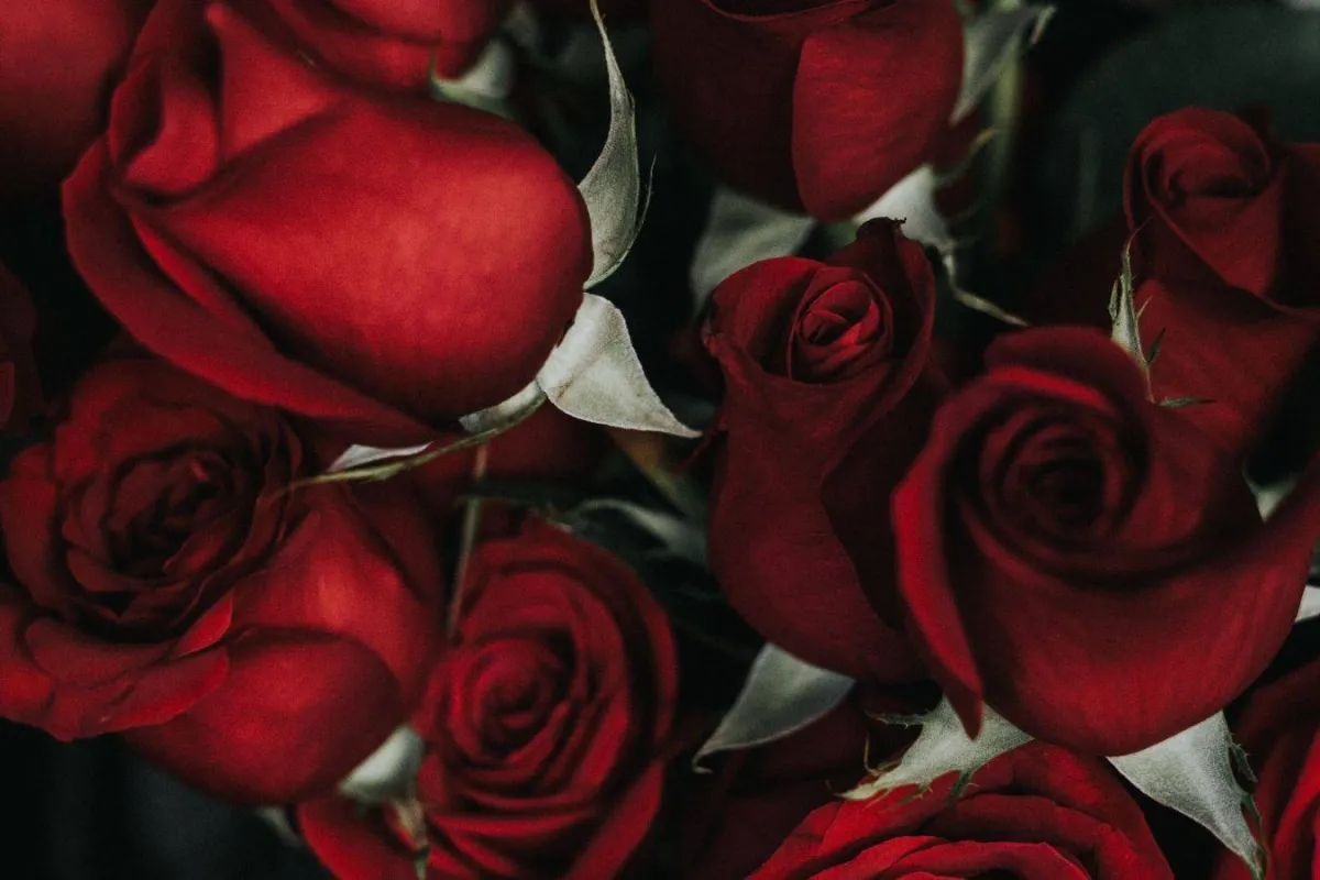 باقة من الزهور