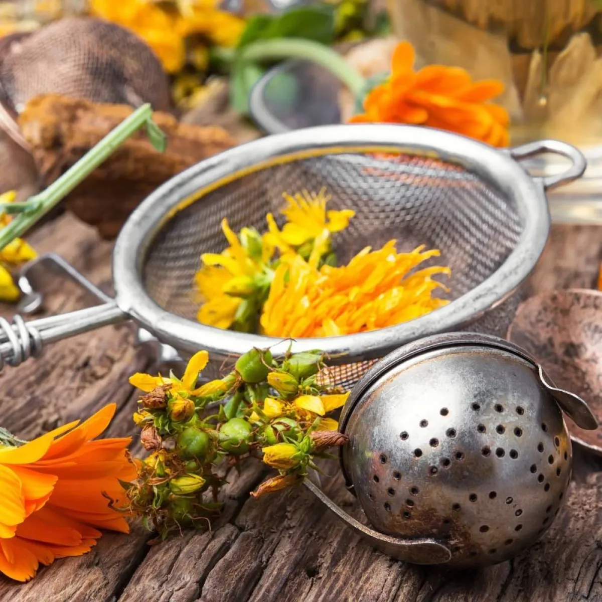 صورة لزهرة القيصوم ومصفاة