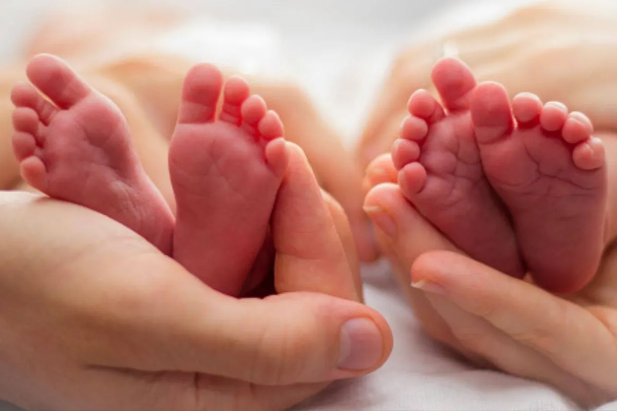 رؤية التوأم