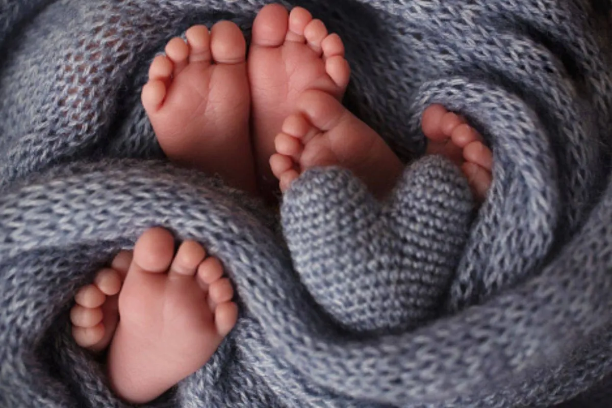 رؤية التوأم