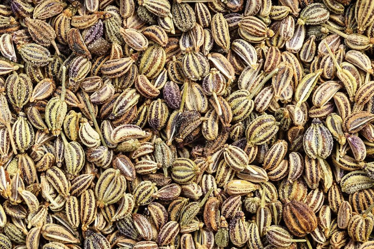 فوائد عشبة النانخة للنساء رائعة