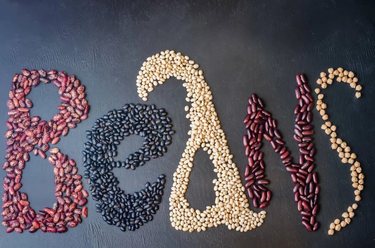 صورة لأنواع الفاصولياء