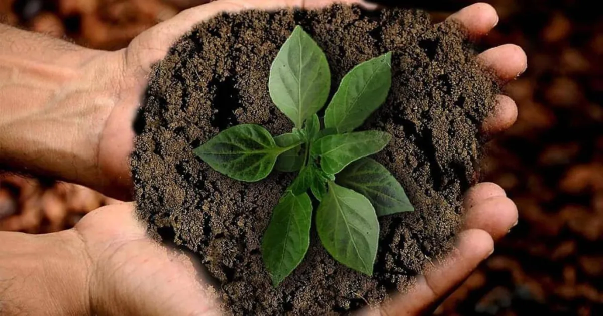  برنامج "ريف" يحدد القطاعات المشمولة بالدعم في القصيم