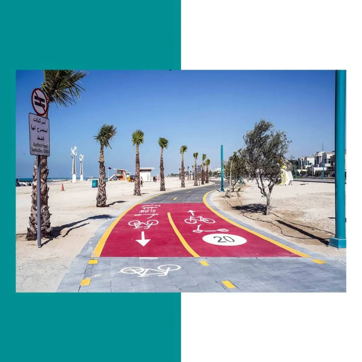 مشروع الدراجات الهوائية - الصورة من حساب هيئة الطرق والمواصلات على تويتر